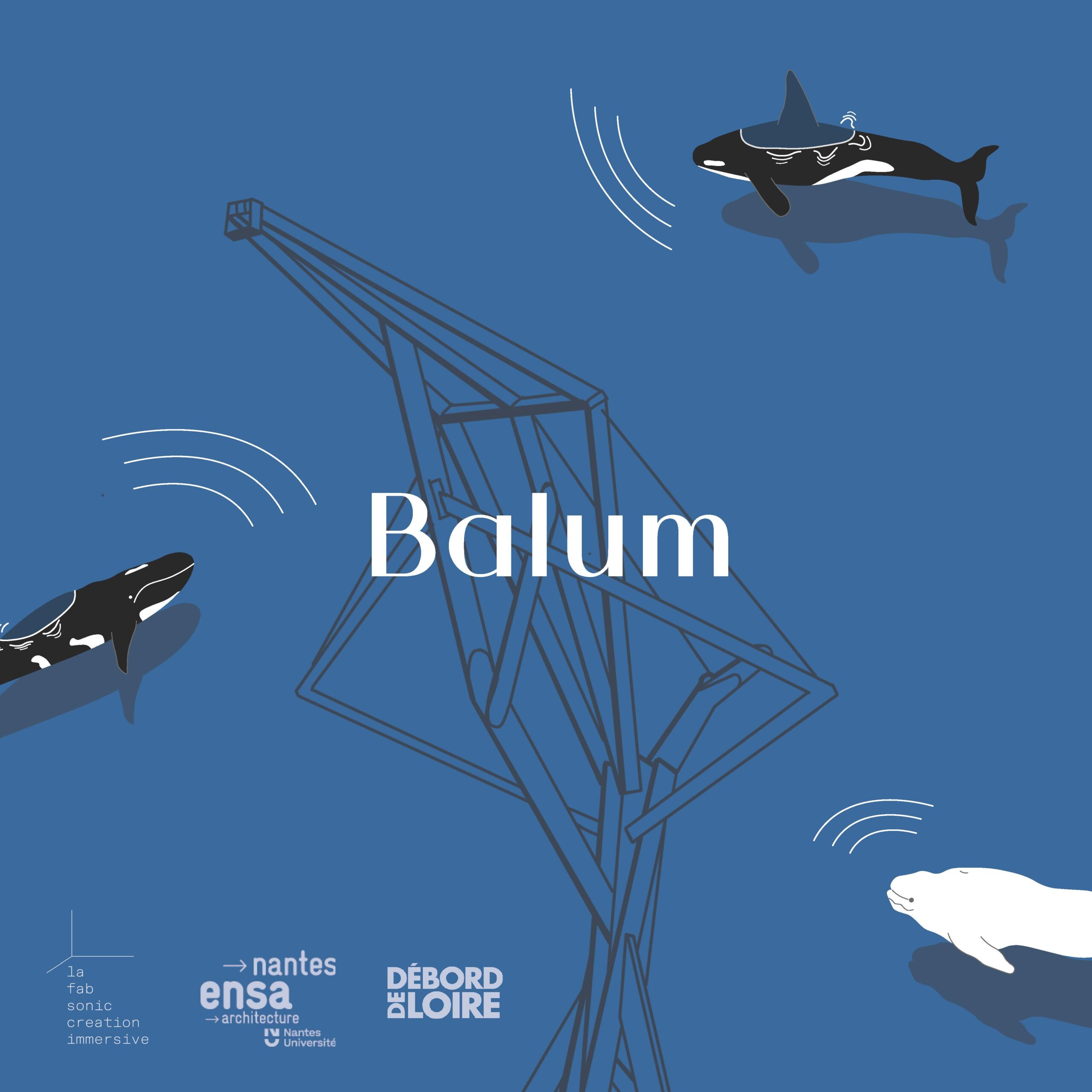 Balum_Carré