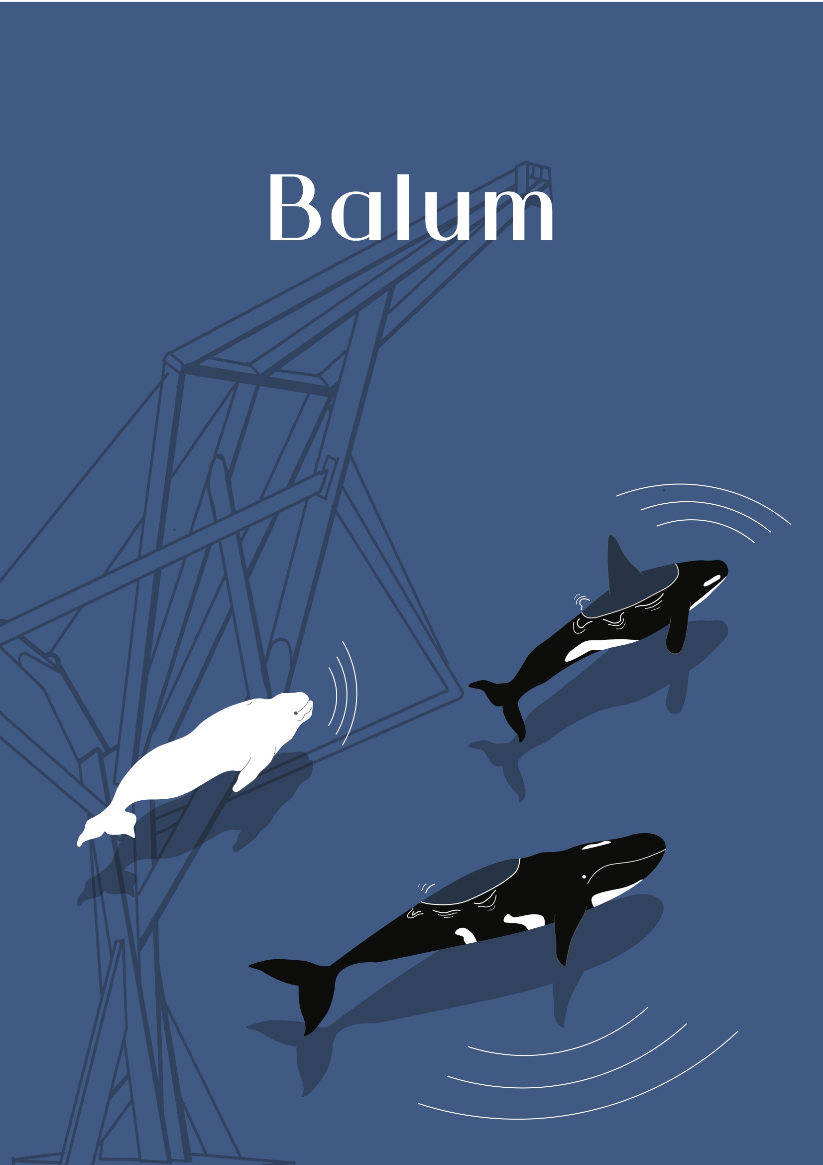 Balum sans partenaire